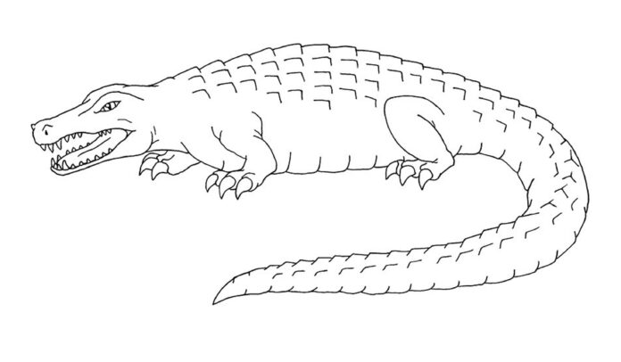 image imprimable d'un alligator sur la plage