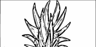 ananás obrázok na vytlačenie