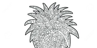 vandmelon med detaljer billede til udskrivning