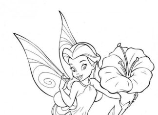 Fairy and flower picture to print