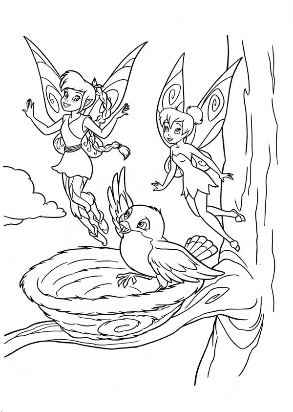 Fairies and a bird picture to print