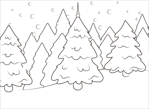 Weihnachtsbäume im Wald ausdruckbares Bild