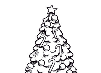 Canne di zucchero su un albero di Natale foto da stampare