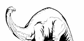 Tlustý dinosaurus obrázek k vytisknutí