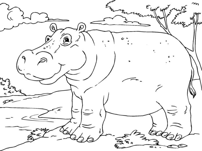 duży hipopotam obrazek do drukowania