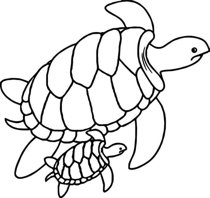 to skildpadder billede til udskrivning