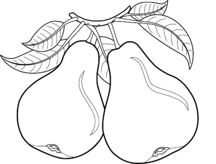 two pears printable picture