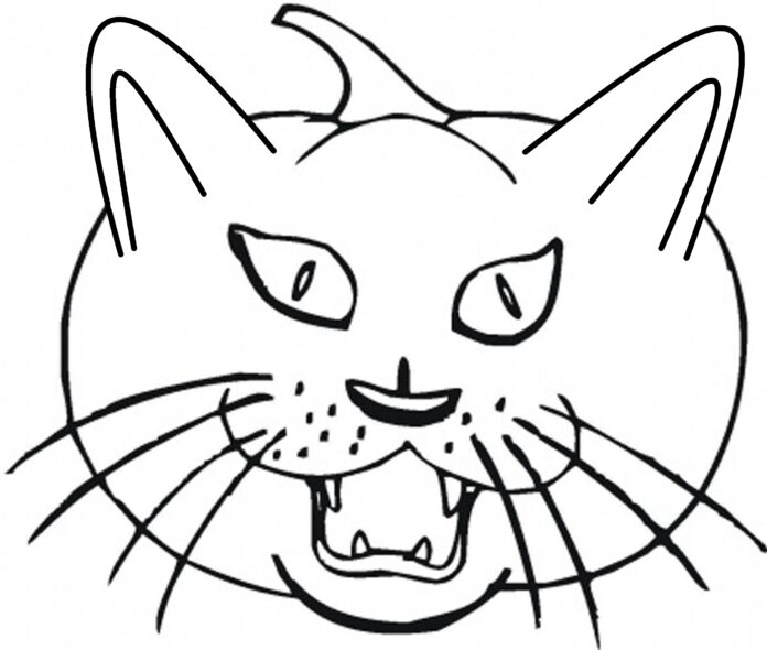 Kürbis in Form eines Katzenkopfes Bild zum Ausdrucken
