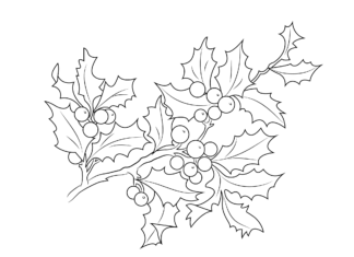 imagen imprimible de la rama de acebo