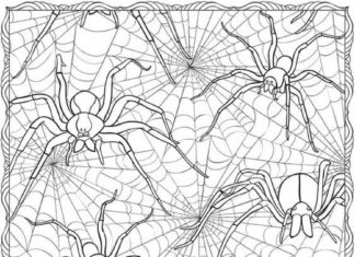 imagem de aranhas de halloween para imprimir