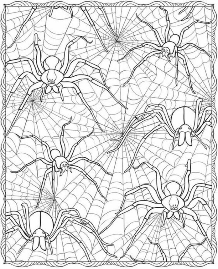 halloween pókok kép nyomtatáshoz