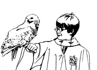 harry potter con un'immagine di uccello da stampare