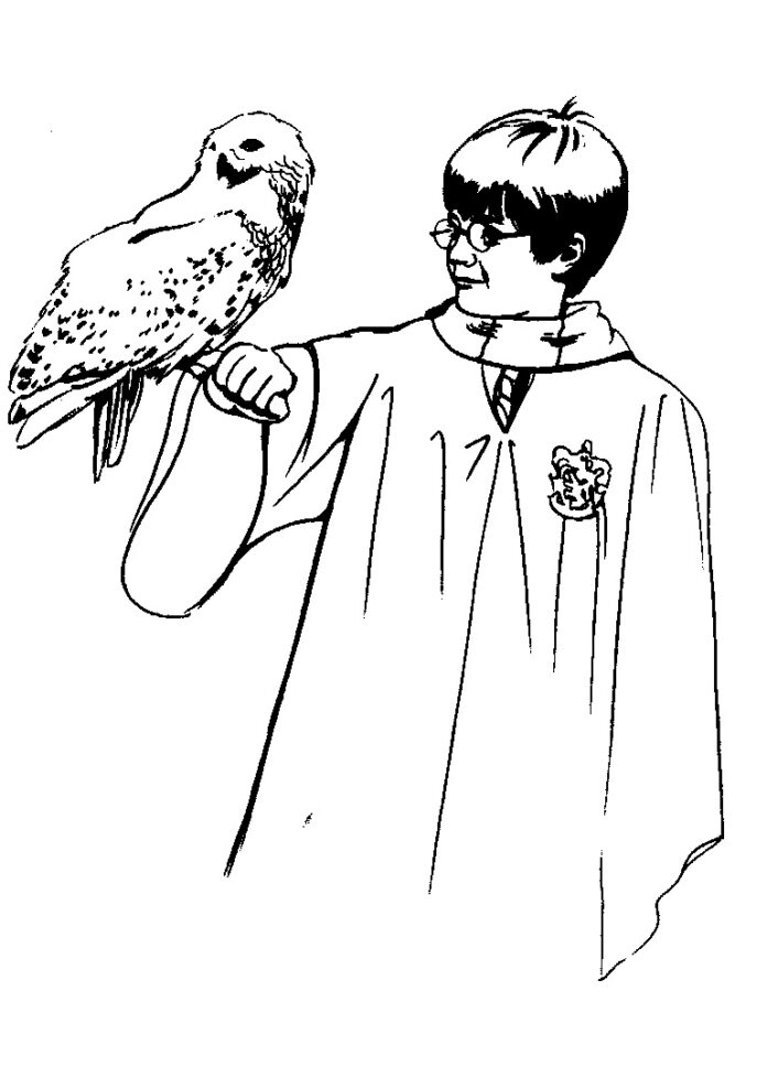 Harry Potter s ptákem obrázek k vytištění