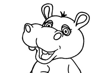 hipopótamo para niños imagen para imprimir