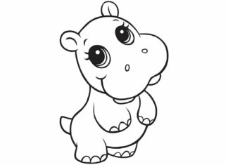hipopótamo para crianças foto imprimível