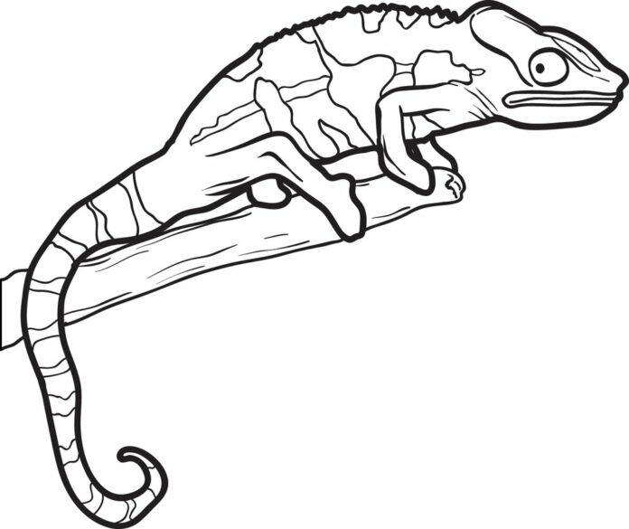imagen de lagarto en una rama para imprimir