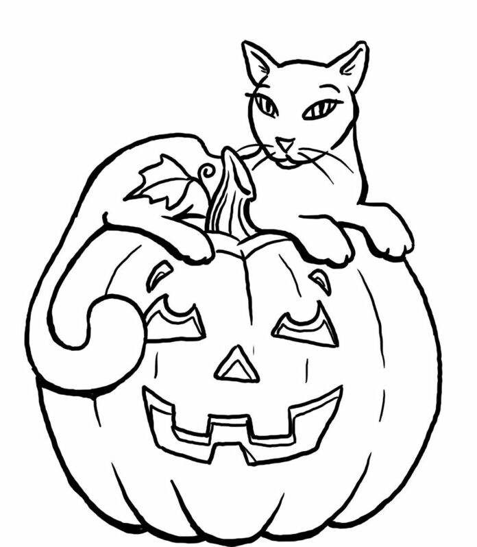 halloween mačka obrázok na tlač