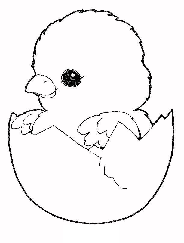 Fødsel af en baby kylling til udskrivning billede