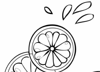 nakrájené citrony obrázek k vytištění