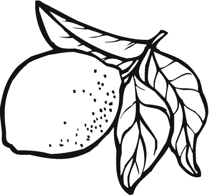 lemon and leaves printable picture