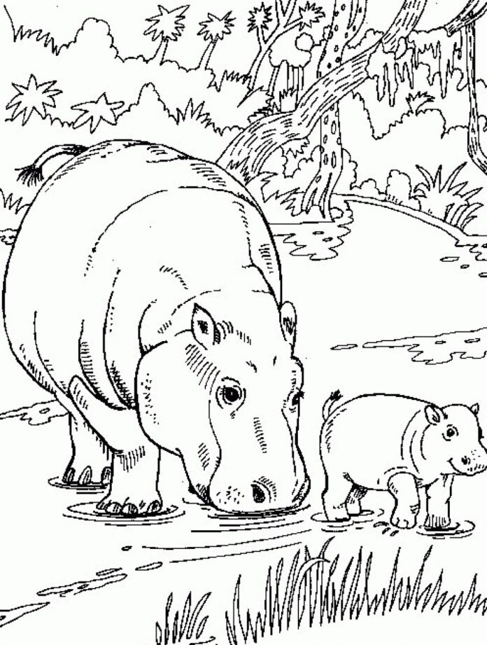 imagem de hipopótamo grande e pequeno para imprimir