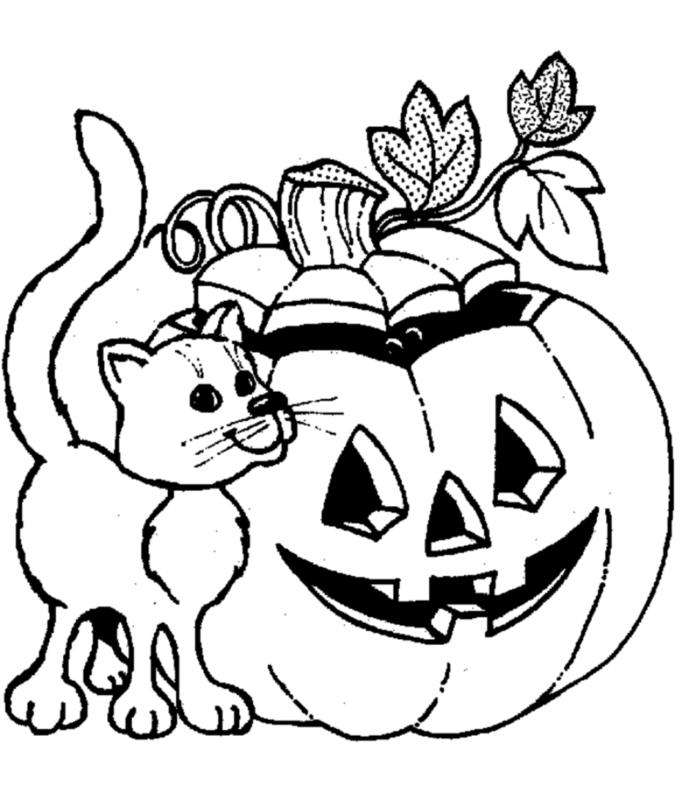little cat and pumpkin picture to print