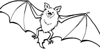 bat picture to print