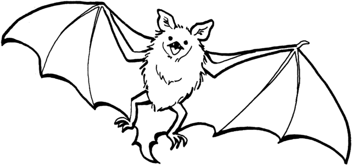 imagem do morcego para imprimir