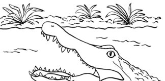 obrázek k vytištění z úst aligátora