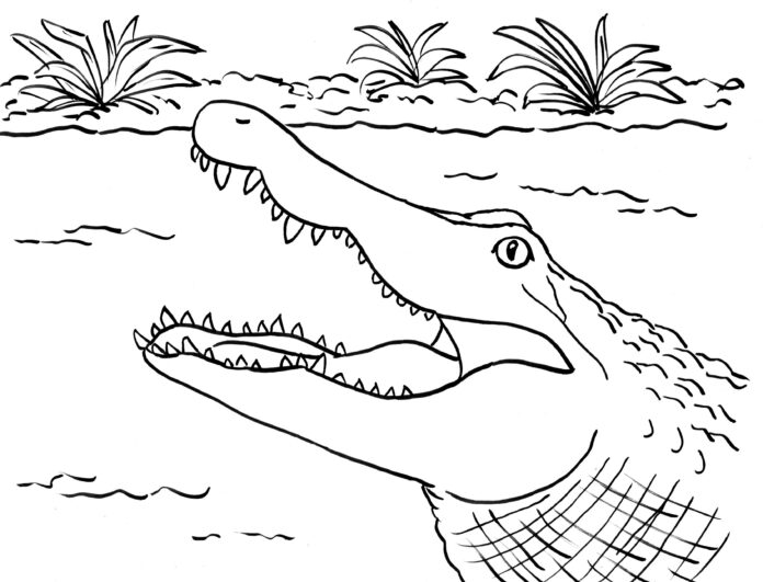 imagen imprimible de la boca del caimán