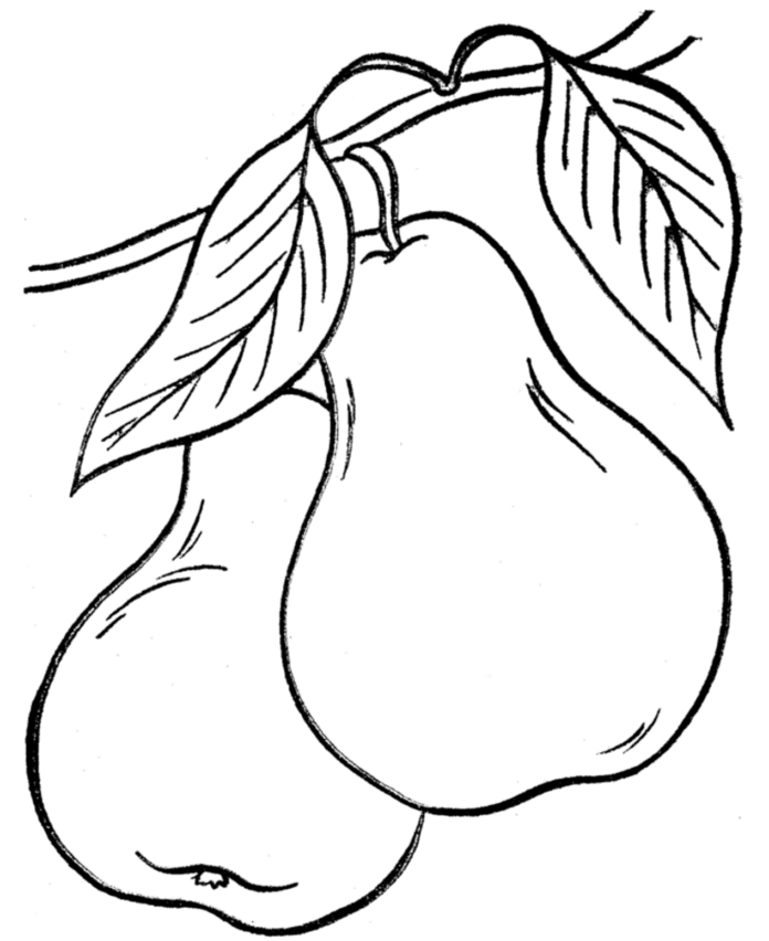 päron som kan skrivas ut bild