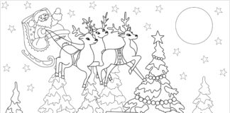 Reindeer fly picture to print