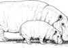 imagen imprimible de una familia de hipopótamos