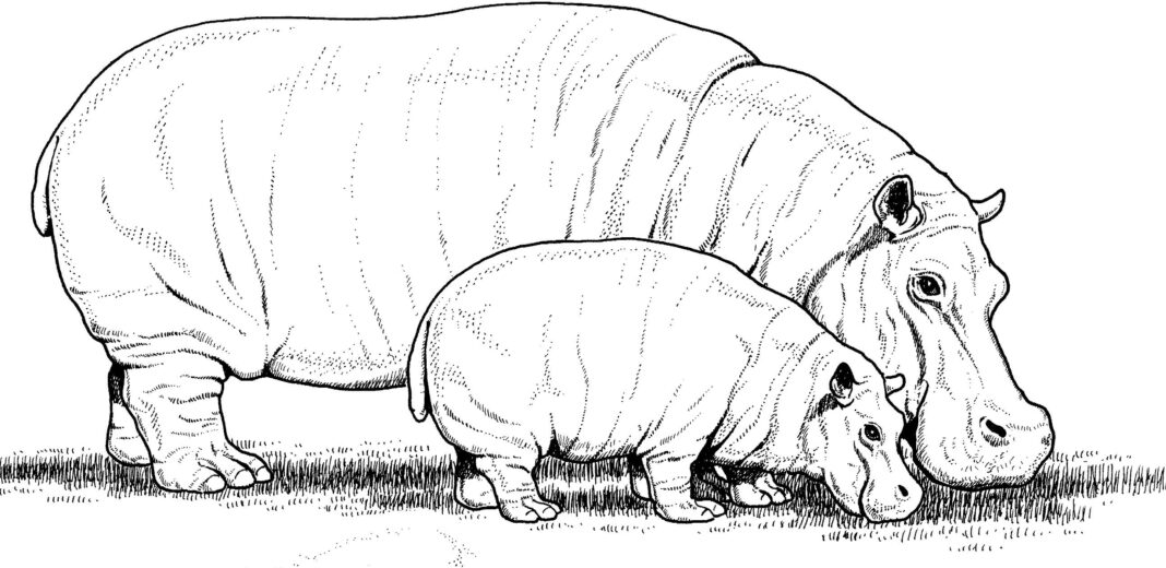 imagen imprimible de una familia de hipopótamos