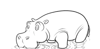 photo à imprimer de l'hippopotame assoiffé