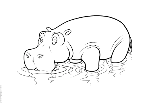 imagem hipopótamo com sede para impressão