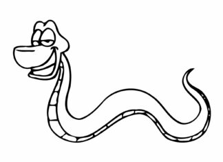 foto de uma serpentezinha alegre para impressão
