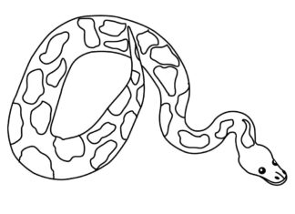 serpent tacheté image imprimable