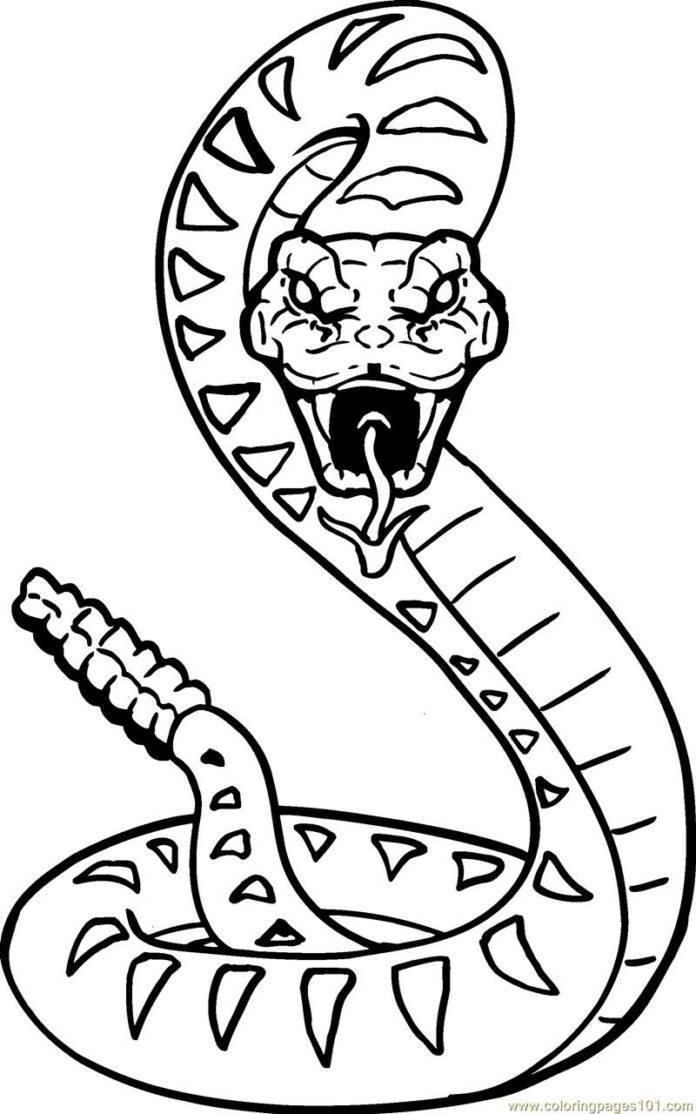 imagem furiosa de cobra imprimível