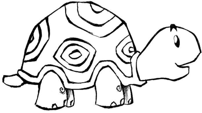 skildpadde i skjold, billede til udskrivning