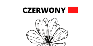 CZERWONY kolorowanka do drukowania