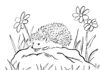Jarný ježko na vytlačenie