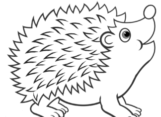 Happy hedgehog coloring book to print