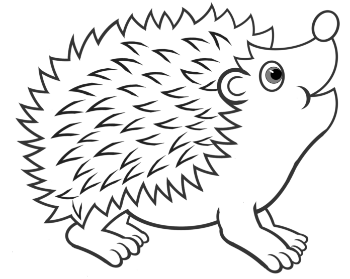Livre de coloriage à imprimer "Happy hedgehog".