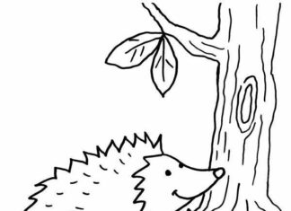 Hedgehog family coloring book to print