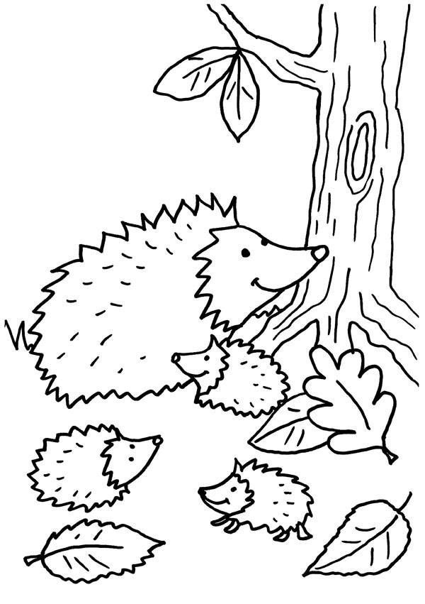 Hedgehog family coloring book to print