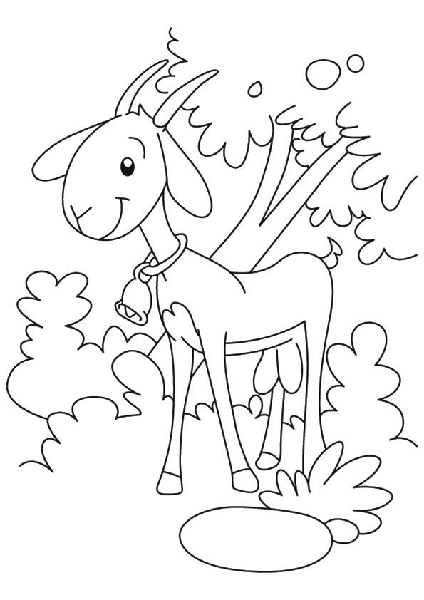 Goat with a bell coloring book to print