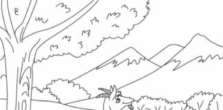 Goat in the mountains coloring book to print