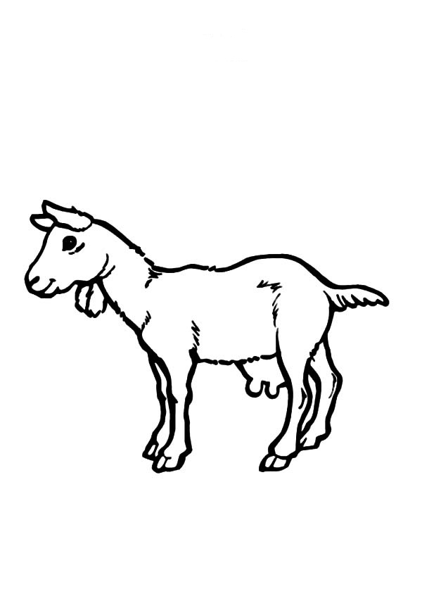 Walking goat coloring book to print