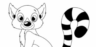 smiling lemur coloring book picture to print